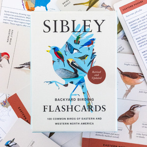 SIBLEY BACKYARD BIRDING FLASHCARDS